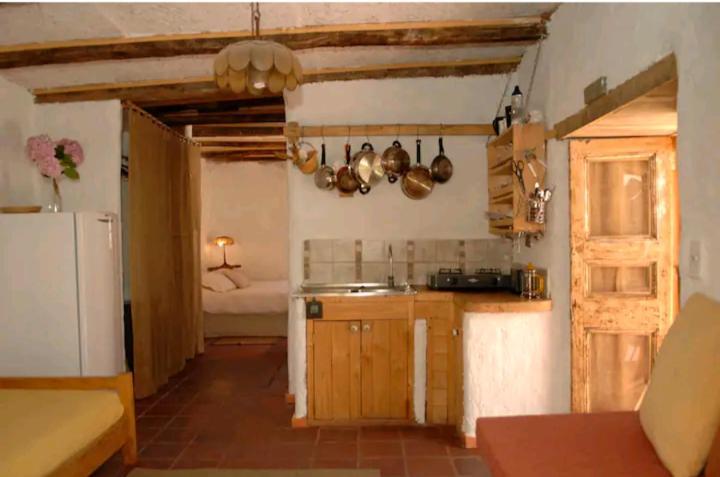 Ladera Loft Pisco Elqui Villa Екстериор снимка